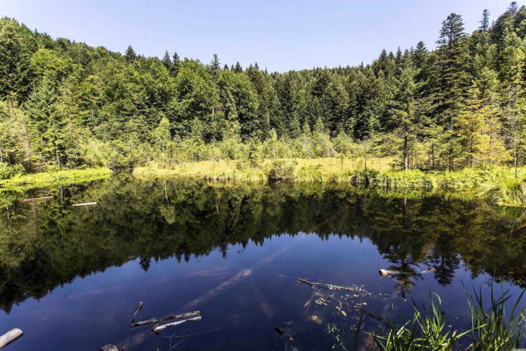 Озеро Журавлине